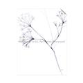 Picture of Flowering Tree Twigs II _GroupedProduct_Rectangle_Portrait_Unframed_Print_Only_