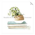 Picture of Pot On The Books I _GroupedProduct_Square_Unframed_Print_Only_