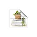 Picture of Flower Pot On Books _GroupedProduct_Square_Unframed_Print_Only_