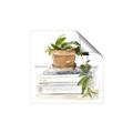 Picture of Flower Pot On Books _GroupedProduct_Square_Unframed_Print_Only_