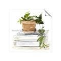 Picture of Flower Pot On Books _GroupedProduct_Square_Unframed_Print_Only_