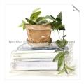 Picture of Flower Pot On Books _GroupedProduct_Square_Unframed_Print_Only_