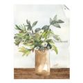 Picture of Potted Greens II _GroupedProduct_Rectangle_Portrait_Unframed_Print_Only_