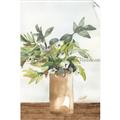 Picture of Potted Greens II _GroupedProduct_Rectangle_Portrait_Unframed_Print_Only_
