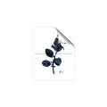 Picture of Blue Leaves V _GroupedProduct_Rectangle_Portrait_Unframed_Print_Only_