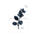 Picture of Blue Leaves V _GroupedProduct_Rectangle_Portrait_Unframed_Print_Only_