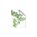 Picture of Green Dripping I _GroupedProduct_Rectangle_Portrait_Unframed_Print_Only_