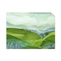 Picture of Eco Friendly V _GroupedProduct_Rectangle_Landscape_Unframed_Print_Only_