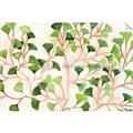 Picture of Happy Leaves _GroupedProduct_Rectangle_Landscape_Unframed_Print_Only_