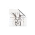 Picture of Frontal Cow Portrait _GroupedProduct_Square_Unframed_Print_Only_