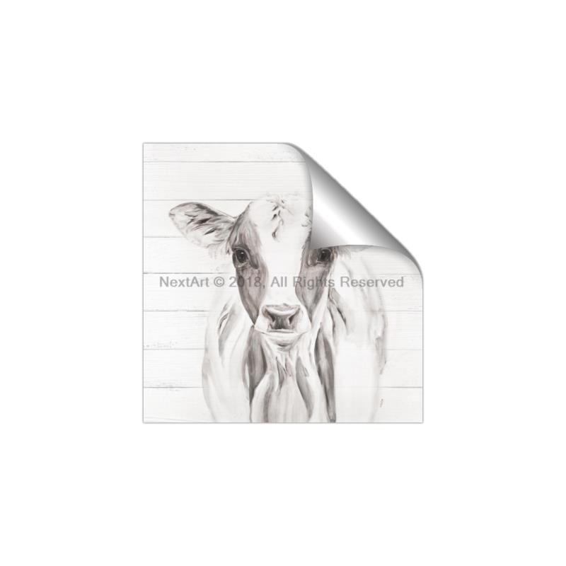Picture of Frontal Cow Portrait _GroupedProduct_Square_Unframed_Print_Only_