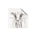 Picture of Frontal Cow Portrait _GroupedProduct_Square_Unframed_Print_Only_