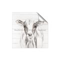 Picture of Frontal Cow Portrait _GroupedProduct_Square_Unframed_Print_Only_
