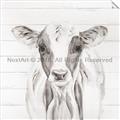 Picture of Frontal Cow Portrait _GroupedProduct_Square_Unframed_Print_Only_