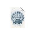 Picture of Blue Seashell _GroupedProduct_Rectangle_Portrait_Unframed_Print_Only_