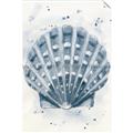 Picture of Blue Seashell _GroupedProduct_Rectangle_Portrait_Unframed_Print_Only_