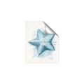 Picture of Teal Starfish _GroupedProduct_Rectangle_Portrait_Unframed_Print_Only_