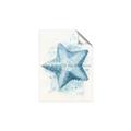 Picture of Teal Starfish _GroupedProduct_Rectangle_Portrait_Unframed_Print_Only_