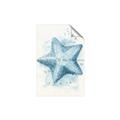 Picture of Teal Starfish _GroupedProduct_Rectangle_Portrait_Unframed_Print_Only_