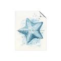 Picture of Teal Starfish _GroupedProduct_Rectangle_Portrait_Unframed_Print_Only_