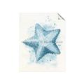 Picture of Teal Starfish _GroupedProduct_Rectangle_Portrait_Unframed_Print_Only_