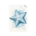 Picture of Teal Starfish _GroupedProduct_Rectangle_Portrait_Unframed_Print_Only_