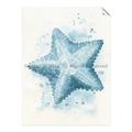 Picture of Teal Starfish _GroupedProduct_Rectangle_Portrait_Unframed_Print_Only_