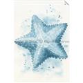 Picture of Teal Starfish _GroupedProduct_Rectangle_Portrait_Unframed_Print_Only_