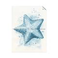 Picture of Teal Starfish _GroupedProduct_Rectangle_Portrait_Unframed_Print_Only_