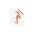 Picture of Coral Seahorse _GroupedProduct_Rectangle_Portrait_Unframed_Print_Only_