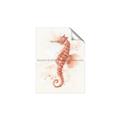 Picture of Coral Seahorse _GroupedProduct_Rectangle_Portrait_Unframed_Print_Only_