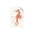 Picture of Coral Seahorse _GroupedProduct_Rectangle_Portrait_Unframed_Print_Only_