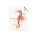 Picture of Coral Seahorse _GroupedProduct_Rectangle_Portrait_Unframed_Print_Only_