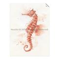Picture of Coral Seahorse _GroupedProduct_Rectangle_Portrait_Unframed_Print_Only_
