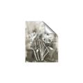 Picture of Brown & White Flower I  _GroupedProduct_Rectangle_Portrait_Unframed_Print_Only_
