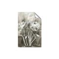 Picture of Brown & White Flower I  _GroupedProduct_Rectangle_Portrait_Unframed_Print_Only_