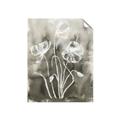 Picture of Brown & White Flower I  _GroupedProduct_Rectangle_Portrait_Unframed_Print_Only_