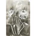 Picture of Brown & White Flower I  _GroupedProduct_Rectangle_Portrait_Unframed_Print_Only_