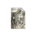 Picture of Brown & White Flower II _GroupedProduct_Rectangle_Portrait_Unframed_Print_Only_