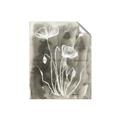 Picture of Brown & White Flower II _GroupedProduct_Rectangle_Portrait_Unframed_Print_Only_