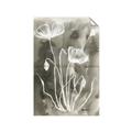 Picture of Brown & White Flower II _GroupedProduct_Rectangle_Portrait_Unframed_Print_Only_