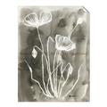 Picture of Brown & White Flower II _GroupedProduct_Rectangle_Portrait_Unframed_Print_Only_