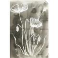 Picture of Brown & White Flower II _GroupedProduct_Rectangle_Portrait_Unframed_Print_Only_
