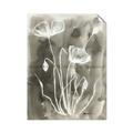 Picture of Brown & White Flower II _GroupedProduct_Rectangle_Portrait_Unframed_Print_Only_