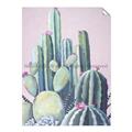 Picture of Pink Cactus _GroupedProduct_Rectangle_Portrait_Unframed_Print_Only_