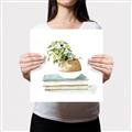Picture of Pot On The Books I _GroupedProduct_Square_Canvas_