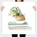 Picture of Pot On The Books I _GroupedProduct_Square_Canvas_