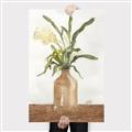 Picture of Potted Greens I _GroupedProduct_Rectangle_Portrait_Canvas_