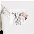 Picture of Frontal Cow Portrait _GroupedProduct_Square_Canvas_
