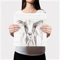 Picture of Frontal Cow Portrait _GroupedProduct_Square_Canvas_